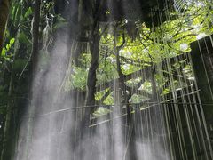 -青青世界