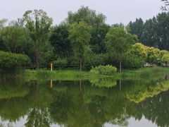-东郊湿地公园