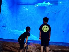 -西安华夏文旅水世界