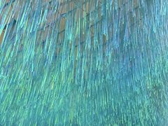 -上海玛雅海滩水公园