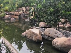 -西双版纳洲际度假酒店-海鲜傣味烧烤·侬香全日制餐厅