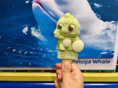 -海合安武汉极地海洋公园