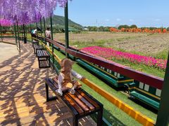 -苏州太湖西山岛开心农场