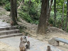 -黔灵山公园