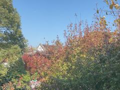 -苏城小院·园林精致苏州菜(斜塘老街店)