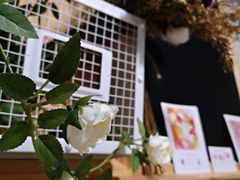-春风·有糖(崇宁路店)