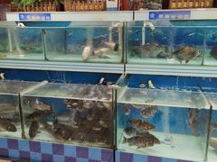 -美廉美多点(新龙店)