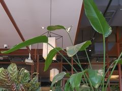 -如轩·海鲜砂锅粥·潮汕菜(一品天下店)