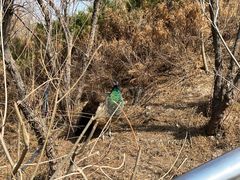 -南大港湿地风景区