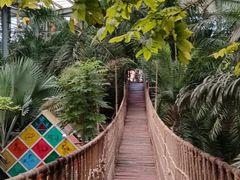 -呀路古热带植物园