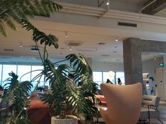 大堂-COFFEEOLOGY咖啡学(天银店)