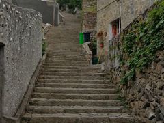 -东沙渔村