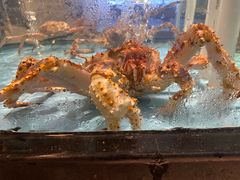 -云庭汇·粤菜海鲜(东盟盛天地店)