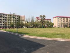 -上海财经大学(国定路校区)