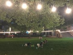 -CAMP.33露营烤肉·团建聚餐(创智天地店)