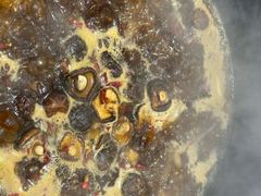 -铁锅年代地锅鸡•铁锅炖大鹅(黄家湖店)