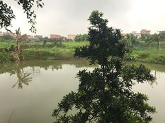 -龙回山庄
