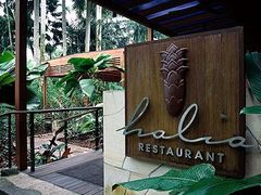 Entrance-植物园哈利亚餐厅