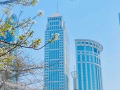 -西北湖绿化广场