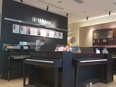 -雅歌音乐培训中心·钢琴培训·乐器培训(交道口店)