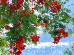 -三亚西岛海洋文化旅游区