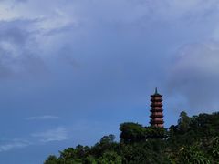 -南沙蒲洲花园
