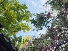 -深圳国际园林花卉博览园