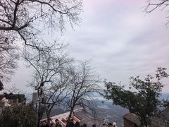 -灵顺寺