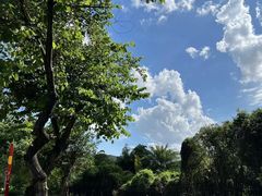 -广州市白云区图书馆