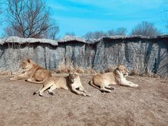 -北京野生动物园
