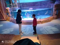 -沈阳海洋探索中心