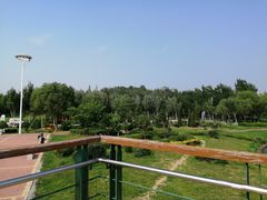 -丁香湖公园