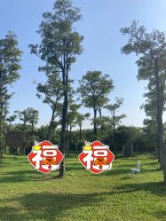-金夫人婚纱摄影(华南店)
