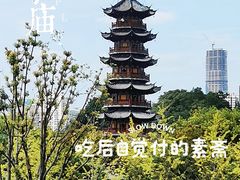 -龙华素斋(龙华路店)