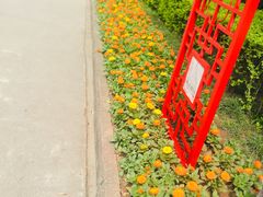 -宝鸡植物园