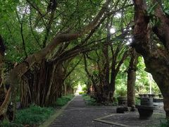 -海口火山口国家地质公园