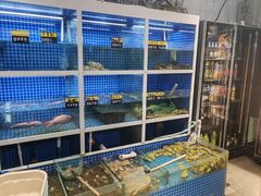 -金龙·打边炉(南京西路店)