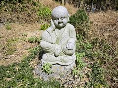 -东明山森林公园