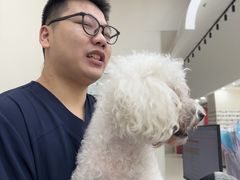 -御宝贝24h宠物医院·转诊中心·CT核磁血透中心(厦门总院)