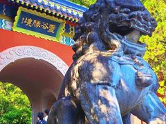 -灵谷景区