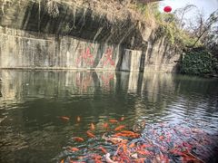 -千岛湖东南湖区