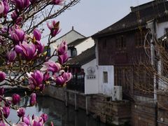 -山塘街