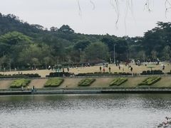 -东莞植物园