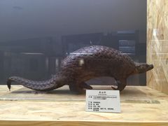 -上海中医药大学-食堂