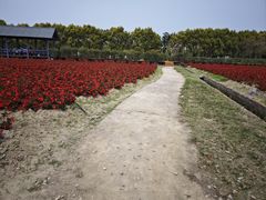 -广东花都香草世界旅游度假区