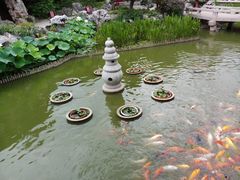 -檀园
