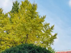 -四川大学(望江校区)