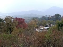 -塔川景区