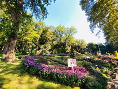 -惠山国家森林公园
