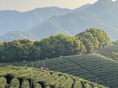 -龙坞茶村